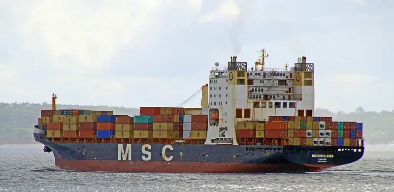 MSC MARIA LAURA Container Ship IMO 8616520 photo 10