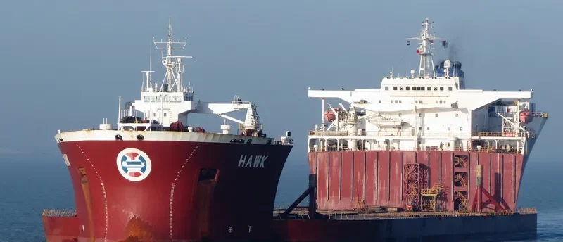 HAWK General Cargo IMO 8616556 photo 7