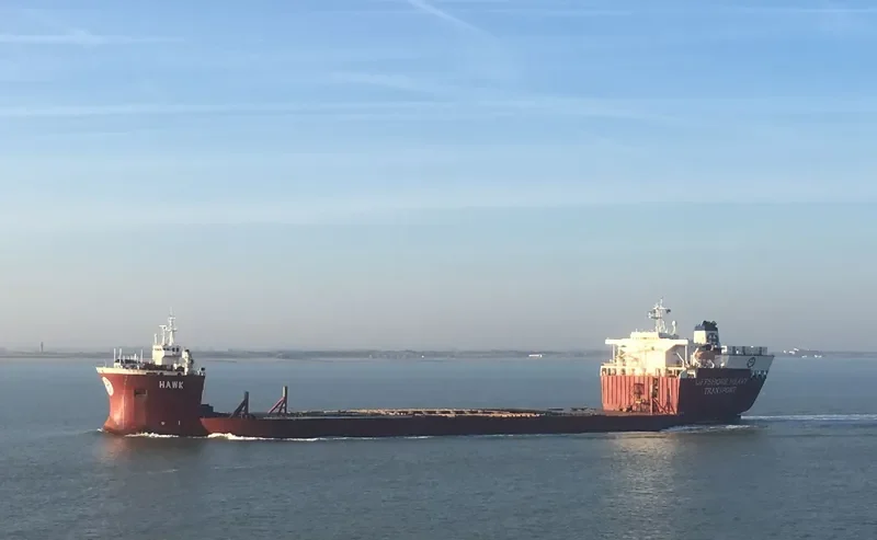 HAWK General Cargo IMO 8616556 photo 8