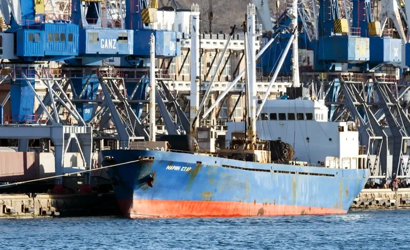 MARINE STAR General Cargo IMO 8617770