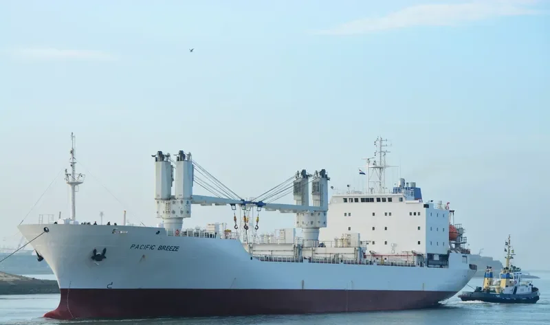 PACIFIC BREEZE General Cargo IMO 8617926 photo 2
