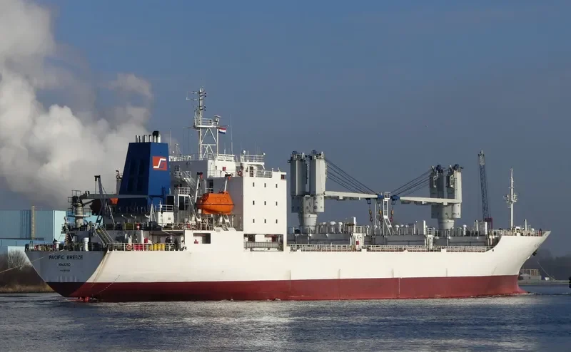 PACIFIC BREEZE General Cargo IMO 8617926 photo 7