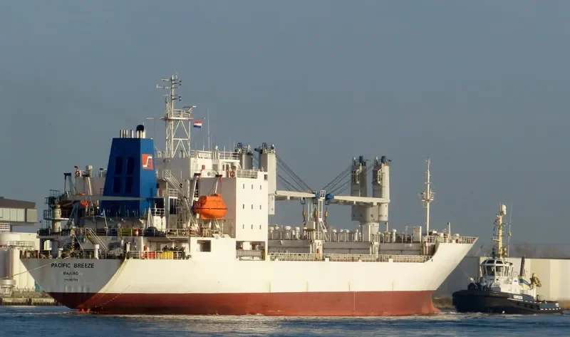 PACIFIC BREEZE General Cargo IMO 8617926 photo 10