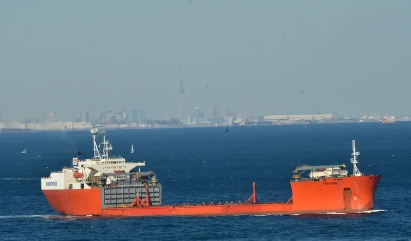 TREASURE General Cargo IMO 8617940 photo 5
