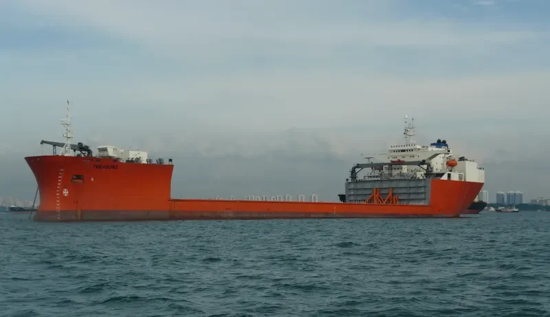 TREASURE General Cargo IMO 8617940 photo 7