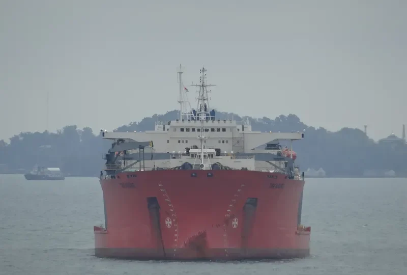 TREASURE General Cargo IMO 8617940 photo 10