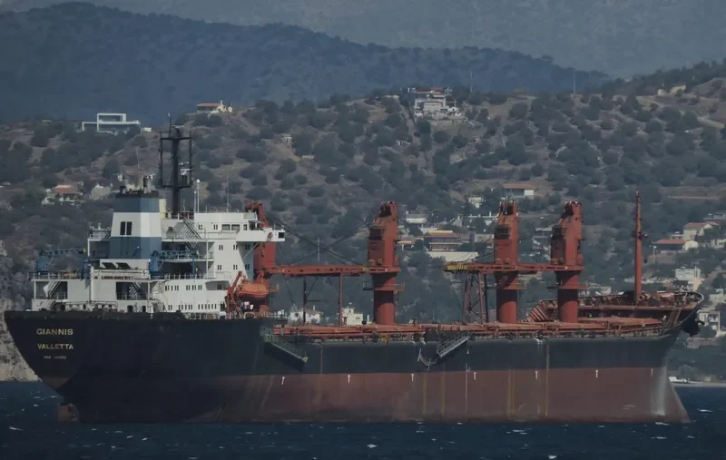 GIAN 1 Bulk Carrier IMO 8617952 photo 2