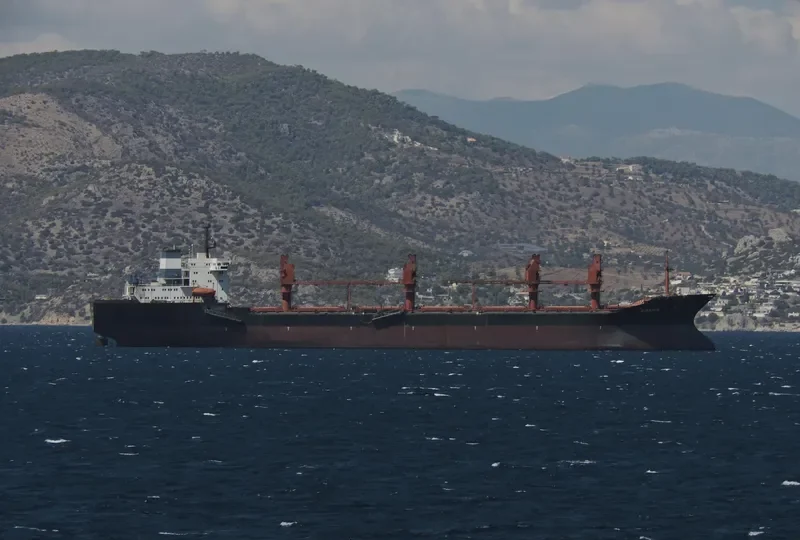 GIAN 1 Bulk Carrier IMO 8617952 photo 3