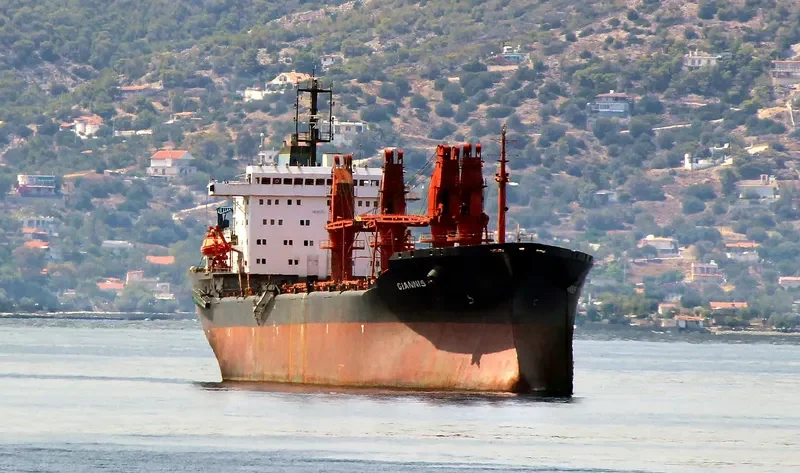 GIAN 1 Bulk Carrier IMO 8617952 photo 5
