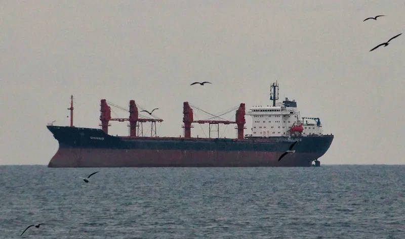 GIAN 1 Bulk Carrier IMO 8617952 photo 7