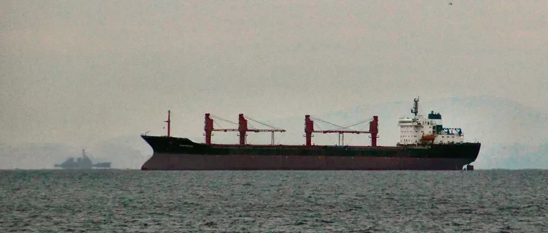 GIAN 1 Bulk Carrier IMO 8617952 photo 8
