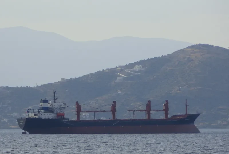 GIAN 1 Bulk Carrier IMO 8617952 photo 10