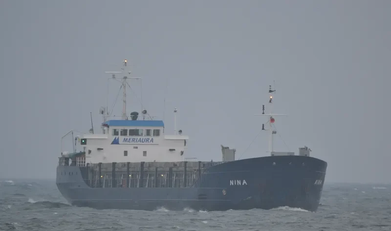 NINA General Cargo IMO 8618035 photo 5