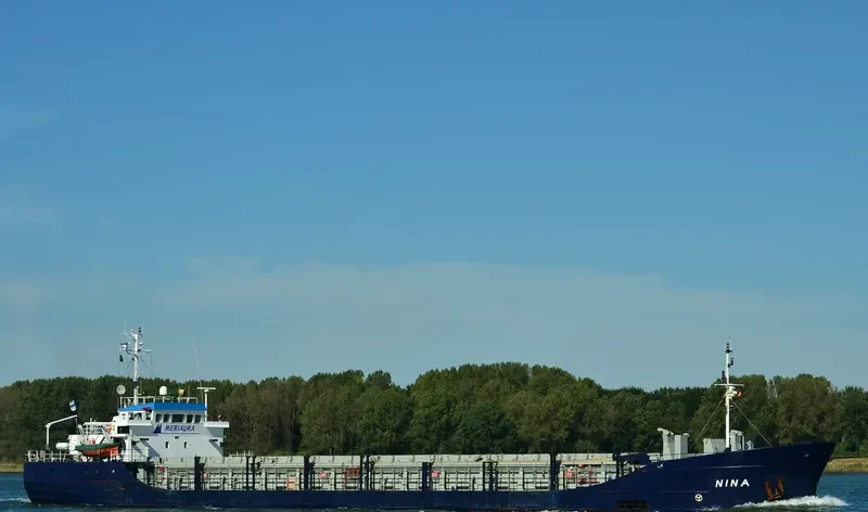 NINA General Cargo IMO 8618035 photo 8