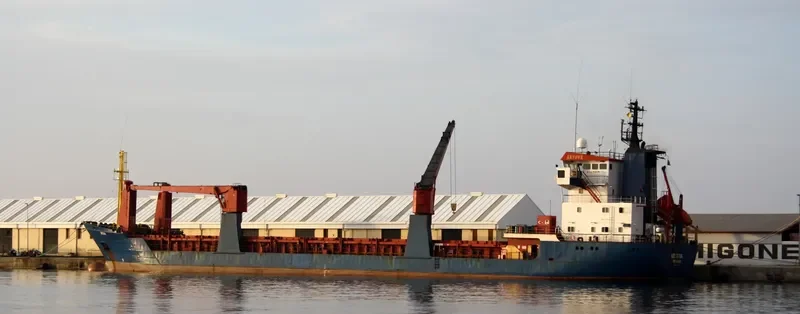 ARTOVA General Cargo IMO 8618059 photo 6