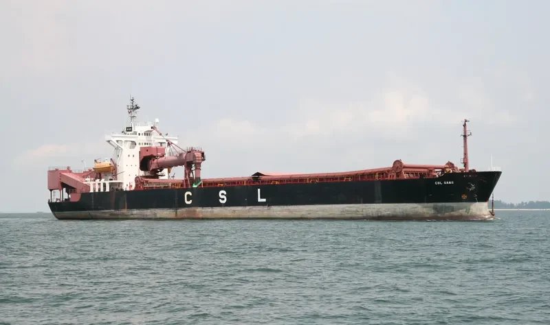 WHYALLA General Cargo IMO 8618188 photo 7