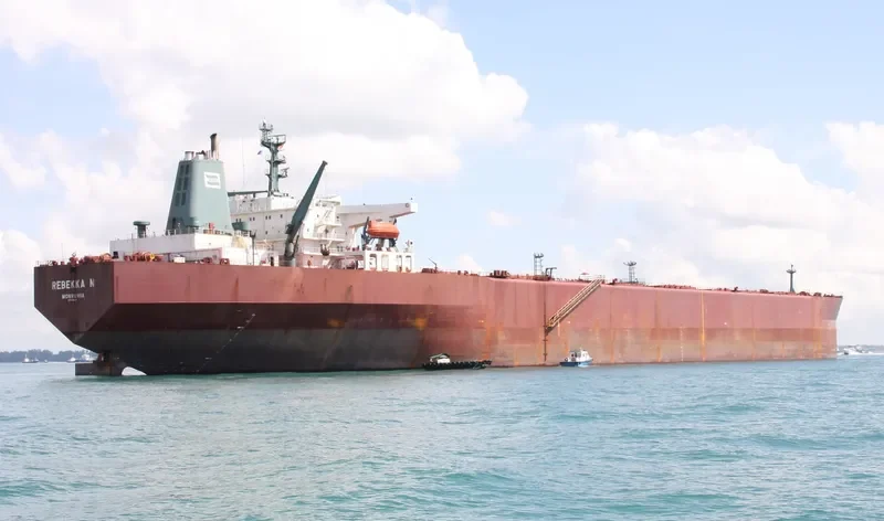 REBEKKA N Bulk Carrier IMO 8618190 photo 2