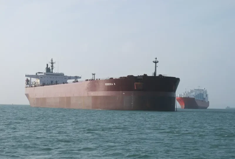 REBEKKA N Bulk Carrier IMO 8618190 photo 4