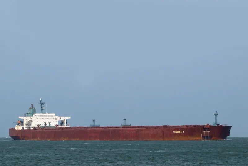 REBEKKA N Bulk Carrier IMO 8618190 photo 6