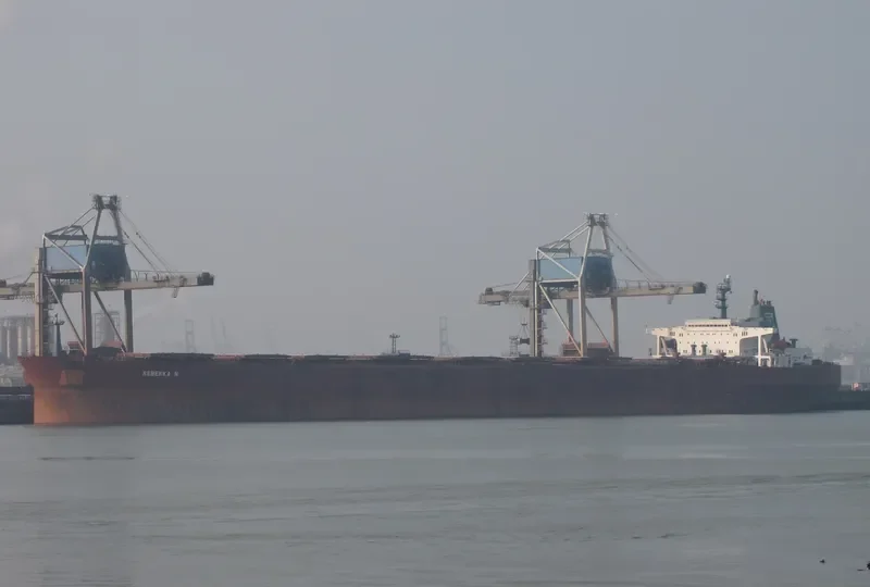 REBEKKA N Bulk Carrier IMO 8618190 photo 8