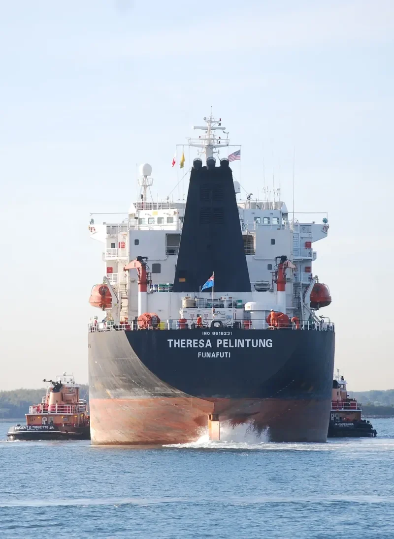 THERESA PELINTUNG Tanker IMO 8618231 photo 4