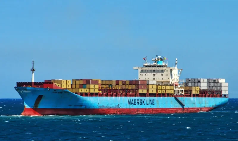 MSC LEANNE Container Ship IMO 8618310 photo 2