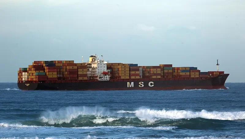 MSC LEANNE Container Ship IMO 8618310 photo 4
