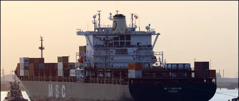 MSC LEANNE Container Ship IMO 8618310 photo 5