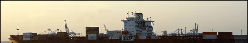 MSC LEANNE Container Ship IMO 8618310 photo 6