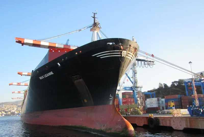 MSC LEANNE Container Ship IMO 8618310 photo 7