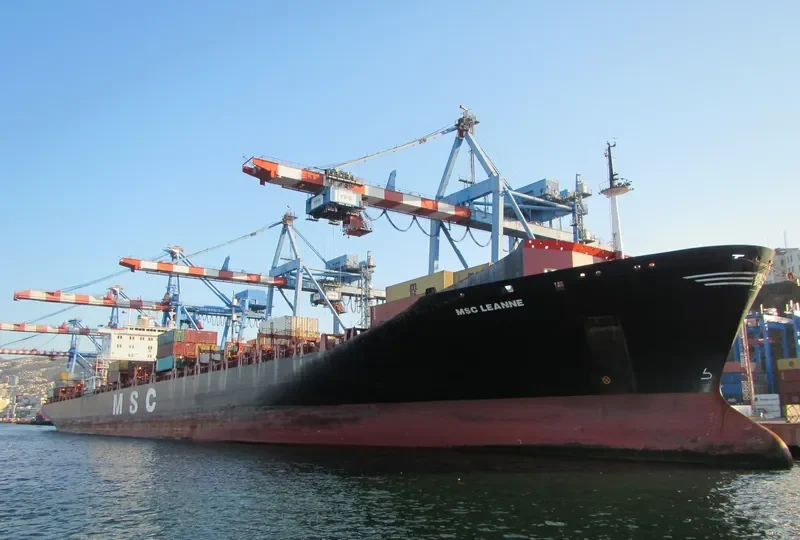 MSC LEANNE Container Ship IMO 8618310 photo 8