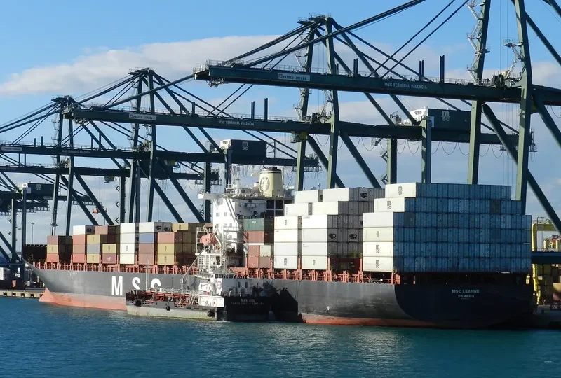 MSC LEANNE Container Ship IMO 8618310 photo 9