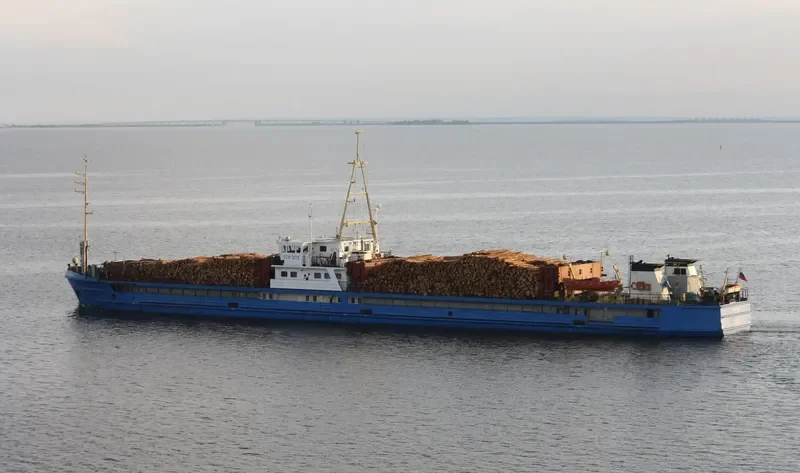 STK 1019 General Cargo IMO 8620014 photo 2
