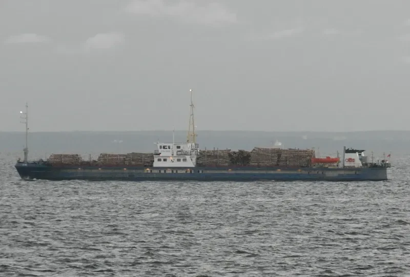 STK 1019 General Cargo IMO 8620014 photo 4