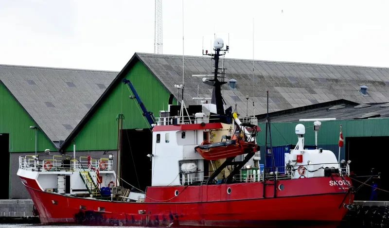 SKOVEN General Cargo IMO 8621408 photo 3
