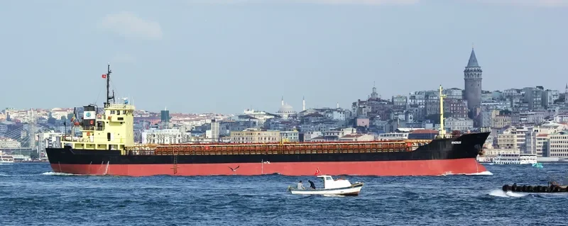 RHOSUS General Cargo IMO 8630344 photo 7