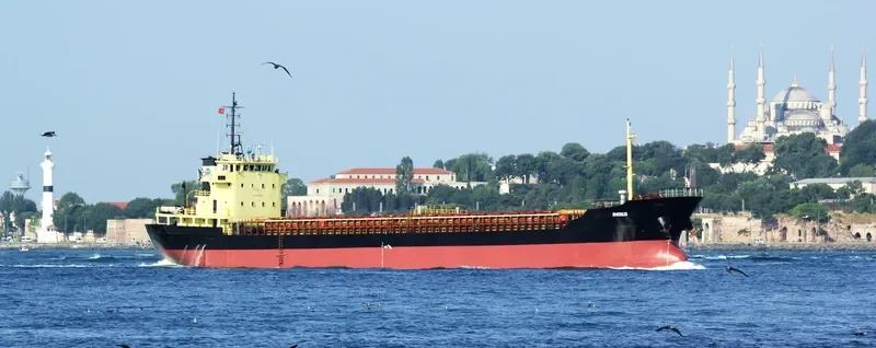 RHOSUS General Cargo IMO 8630344 photo 8