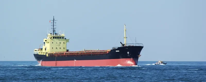 RHOSUS General Cargo IMO 8630344 photo 9