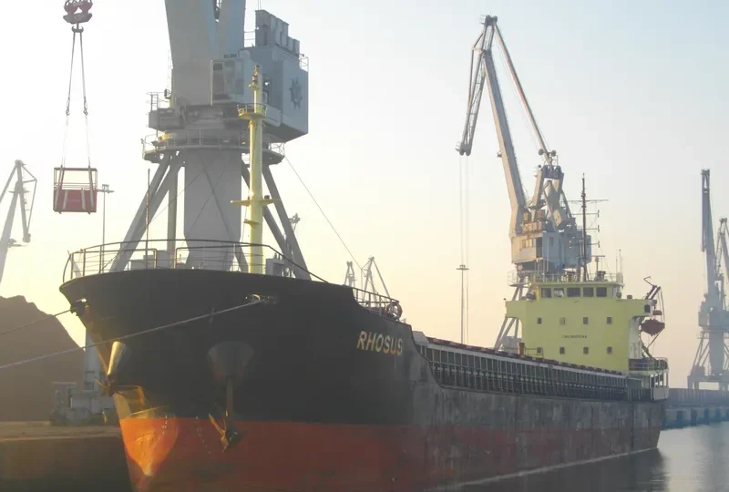 RHOSUS General Cargo IMO 8630344 photo 10