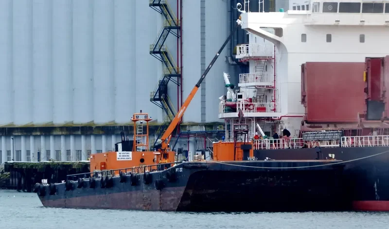 ITB PROVIDER General Cargo IMO 8645923 photo 3