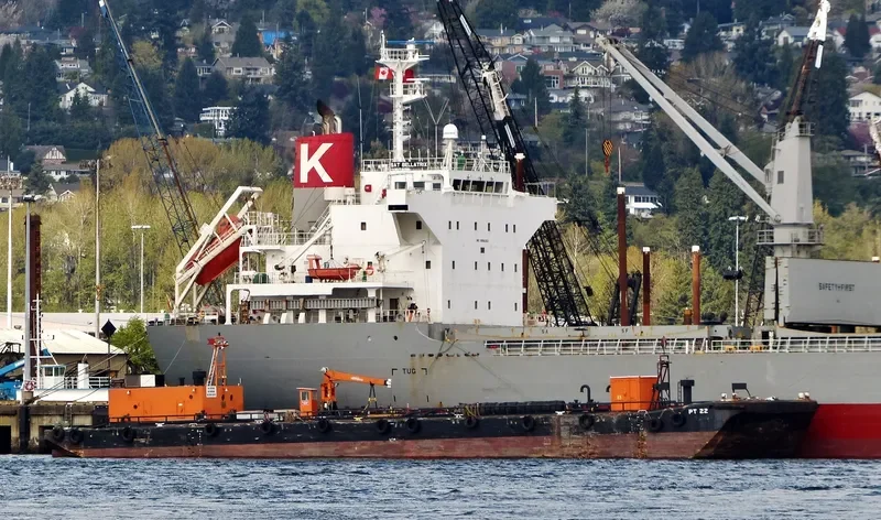 ITB PROVIDER General Cargo IMO 8645923 photo 6
