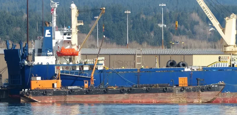 ITB PROVIDER General Cargo IMO 8645923 photo 7
