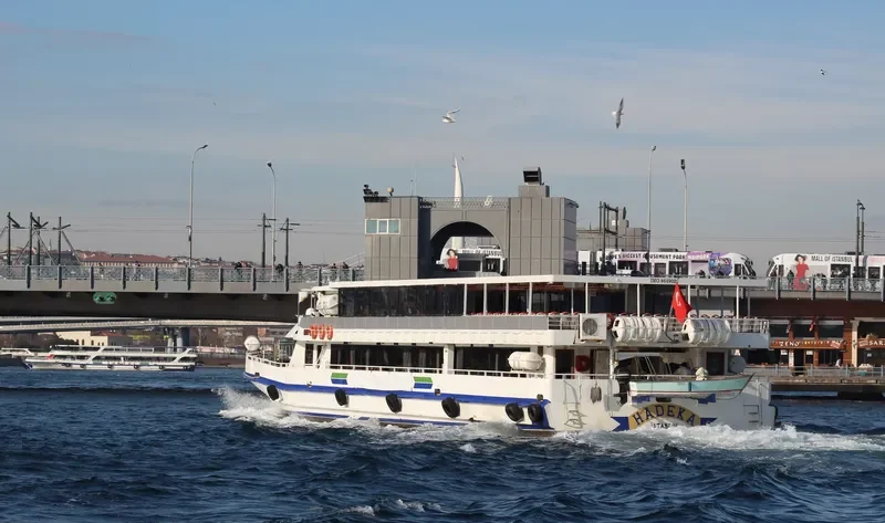 HADEKA Passenger Ship IMO 8649022