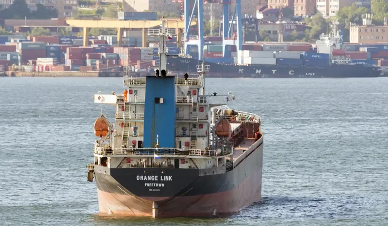 ORANGE LINK Bulk Carrier IMO 8653073 photo 2