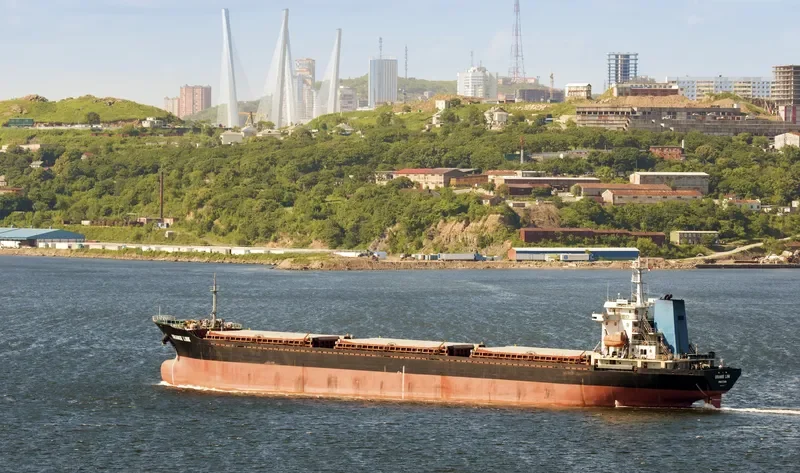 ORANGE LINK Bulk Carrier IMO 8653073 photo 3