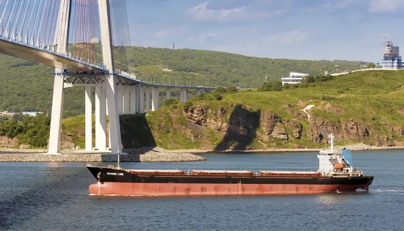 ORANGE LINK Bulk Carrier IMO 8653073 photo 4