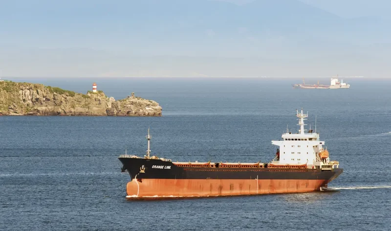 ORANGE LINK Bulk Carrier IMO 8653073 photo 5