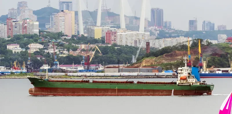 ORANGE LINK Bulk Carrier IMO 8653073 photo 6