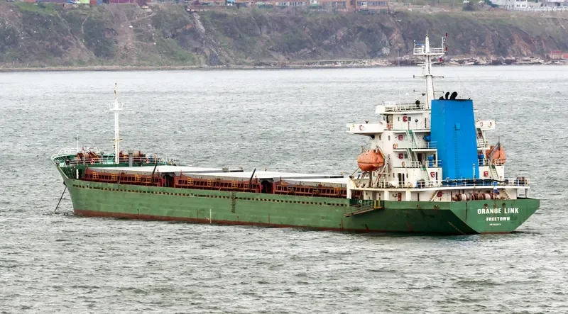 ORANGE LINK Bulk Carrier IMO 8653073 photo 7