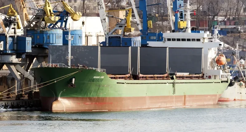 ORANGE LINK Bulk Carrier IMO 8653073 photo 8